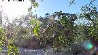 area1-20220505170013.jpg