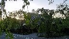 area1-20220505181013.jpg