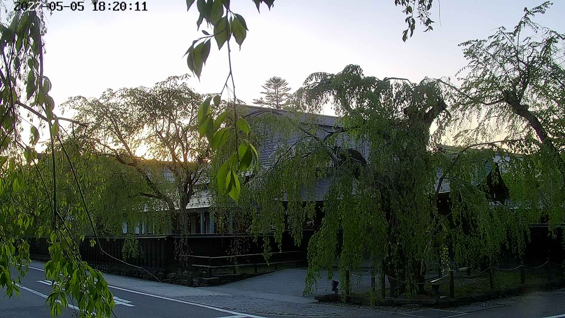 area1-20220505182013.jpg