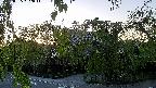 area1-20220505182013.jpg