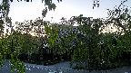 area1-20220505183014.jpg