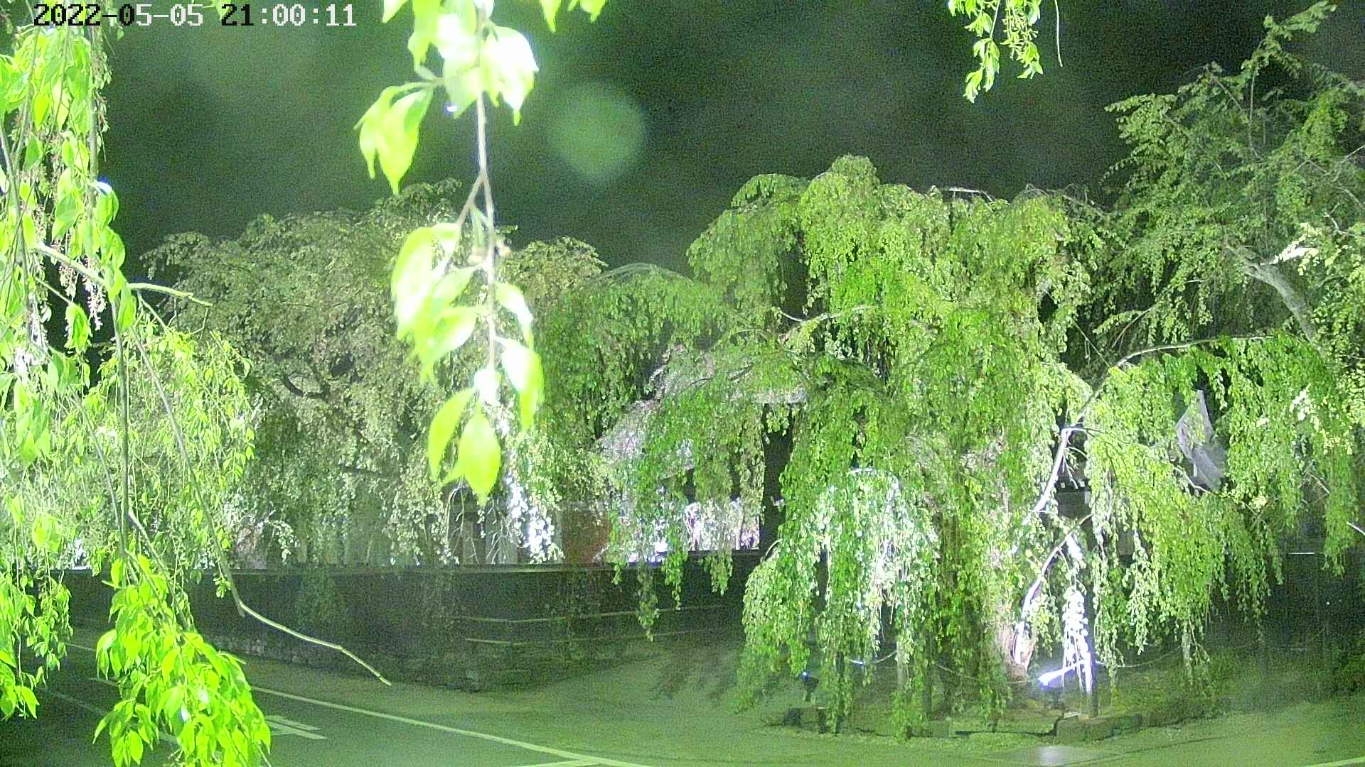area1-20220505210013.jpg