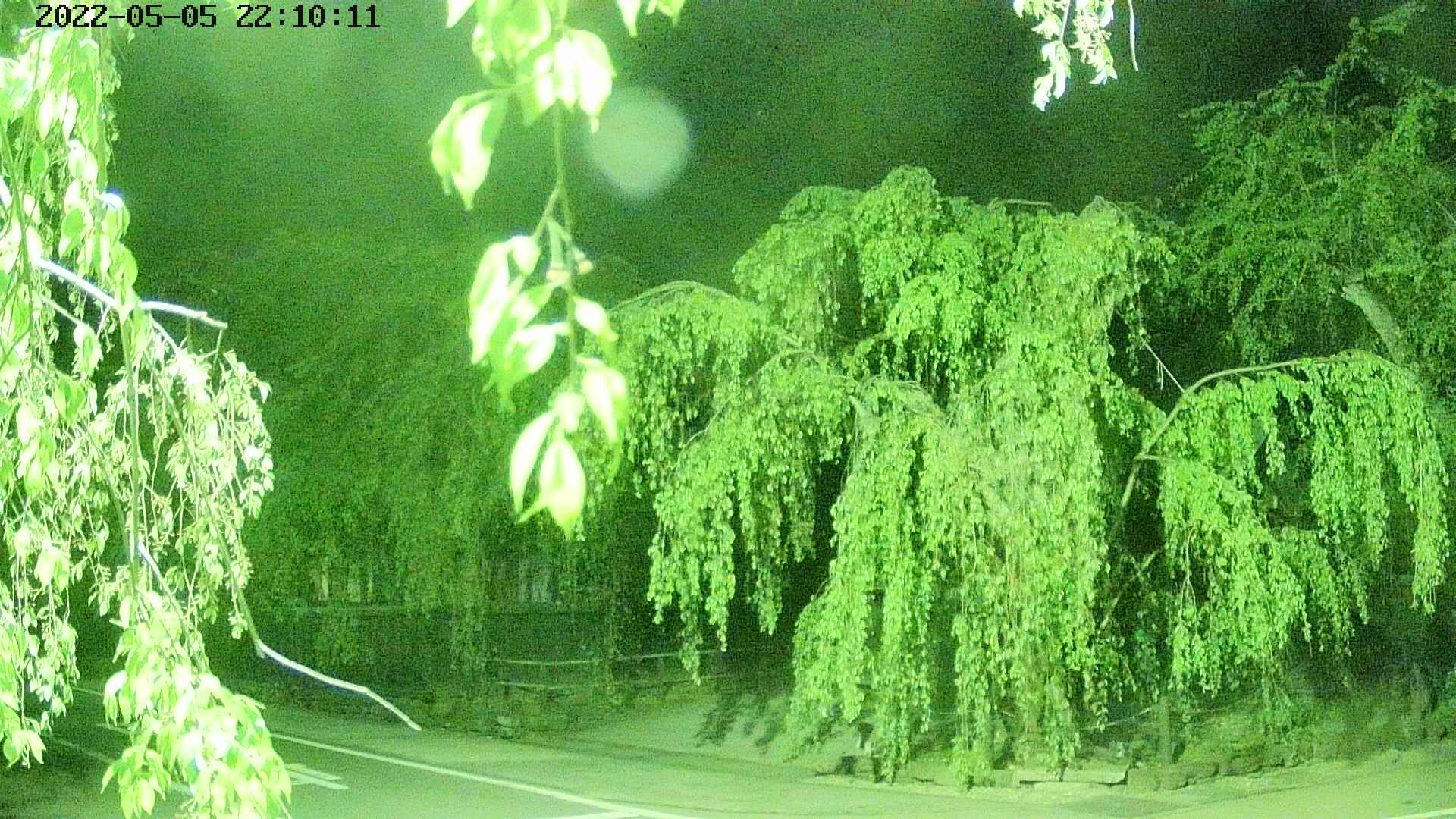 area1-20220505221013.jpg