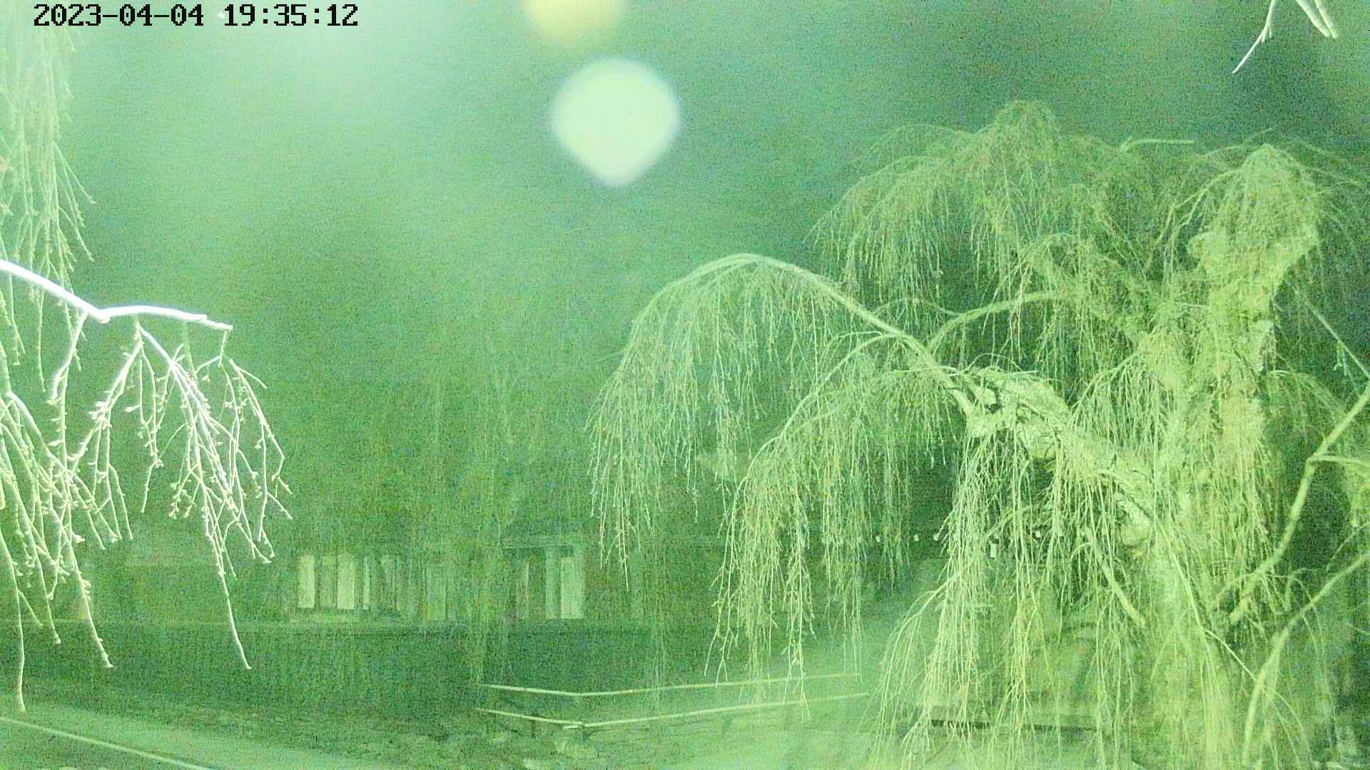 area1-20230404193514.jpg