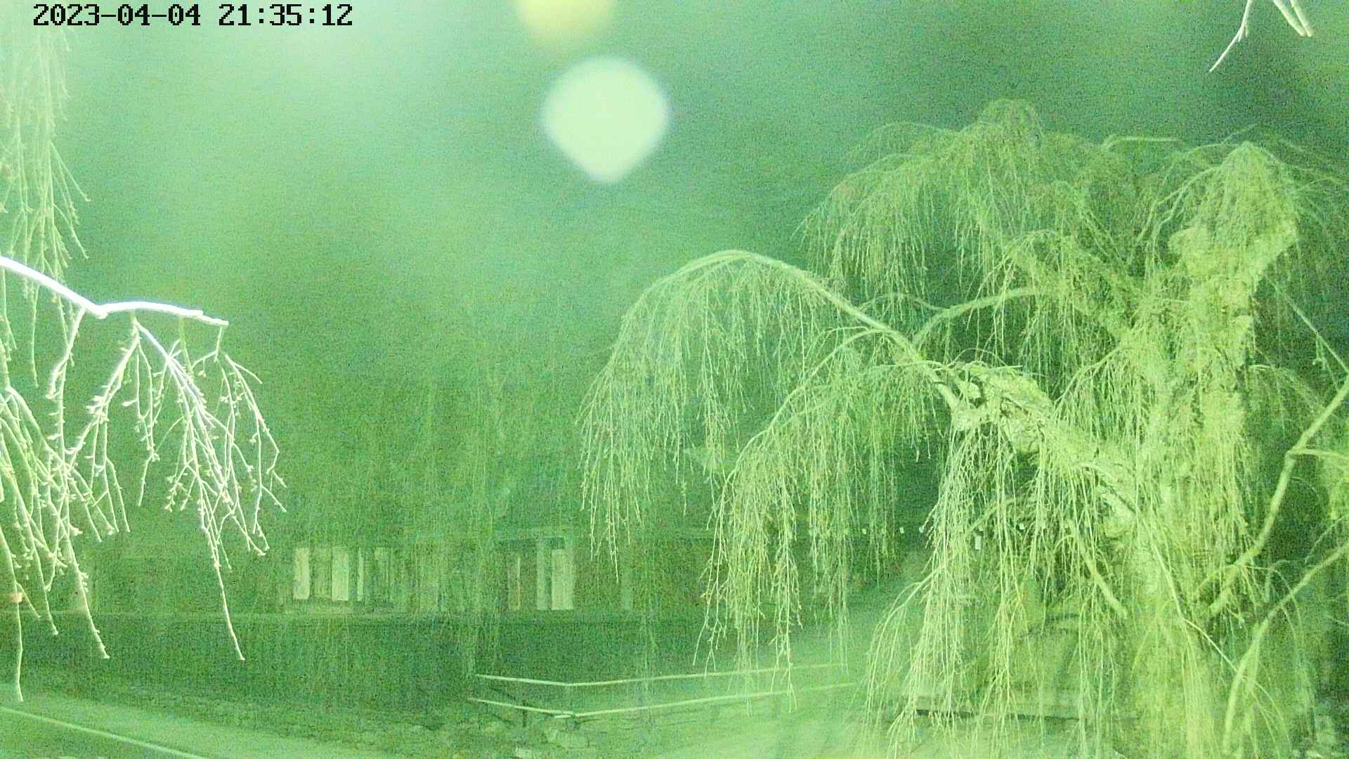 area1-20230404213514.jpg