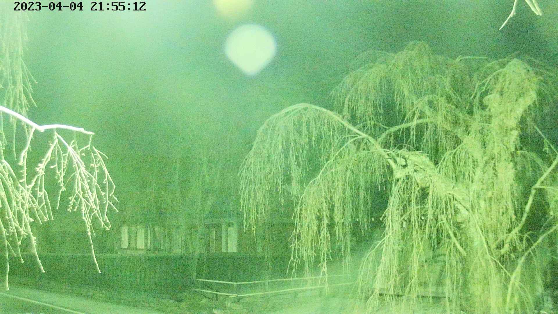 area1-20230404215514.jpg