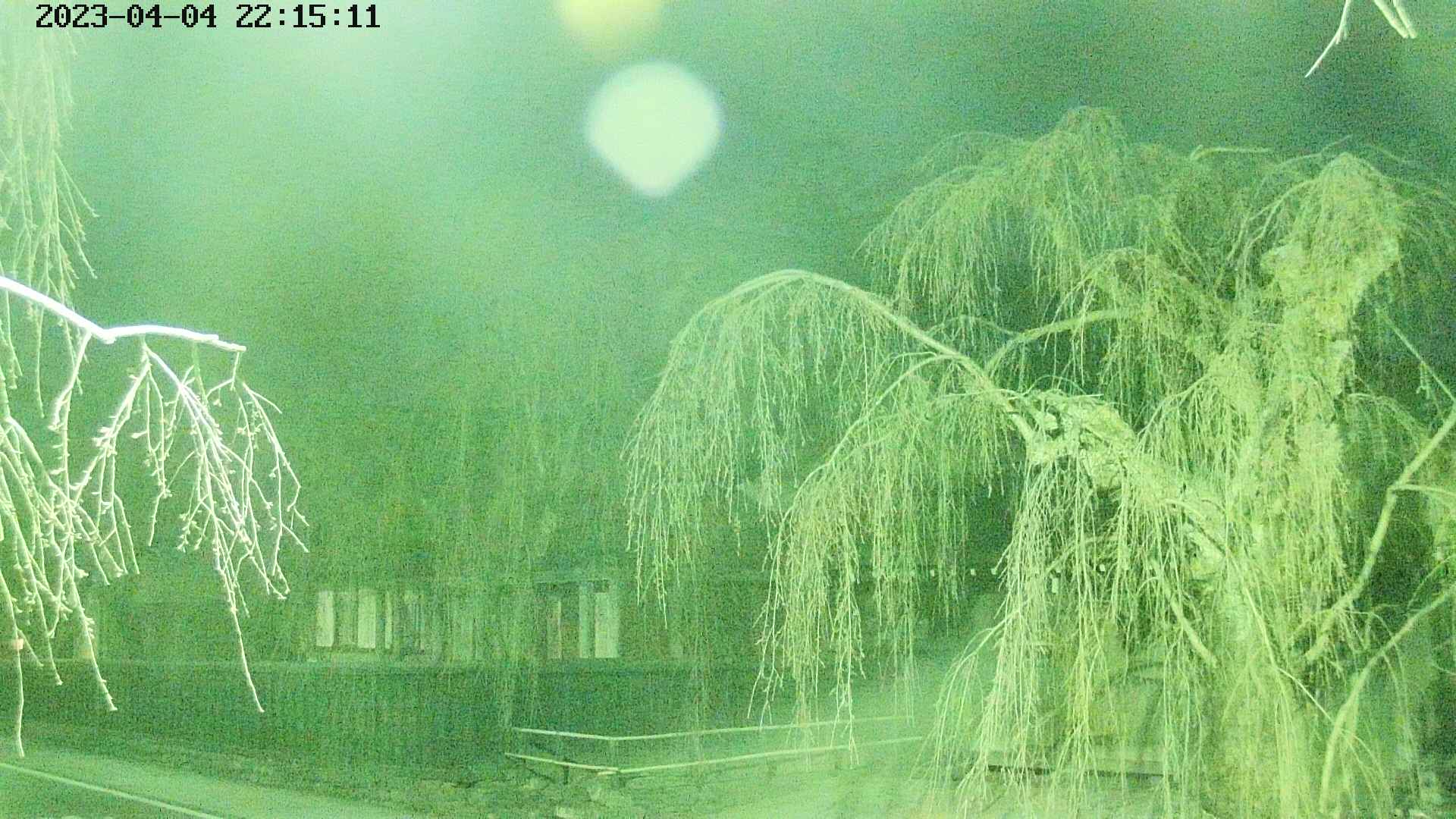 area1-20230404221513.jpg