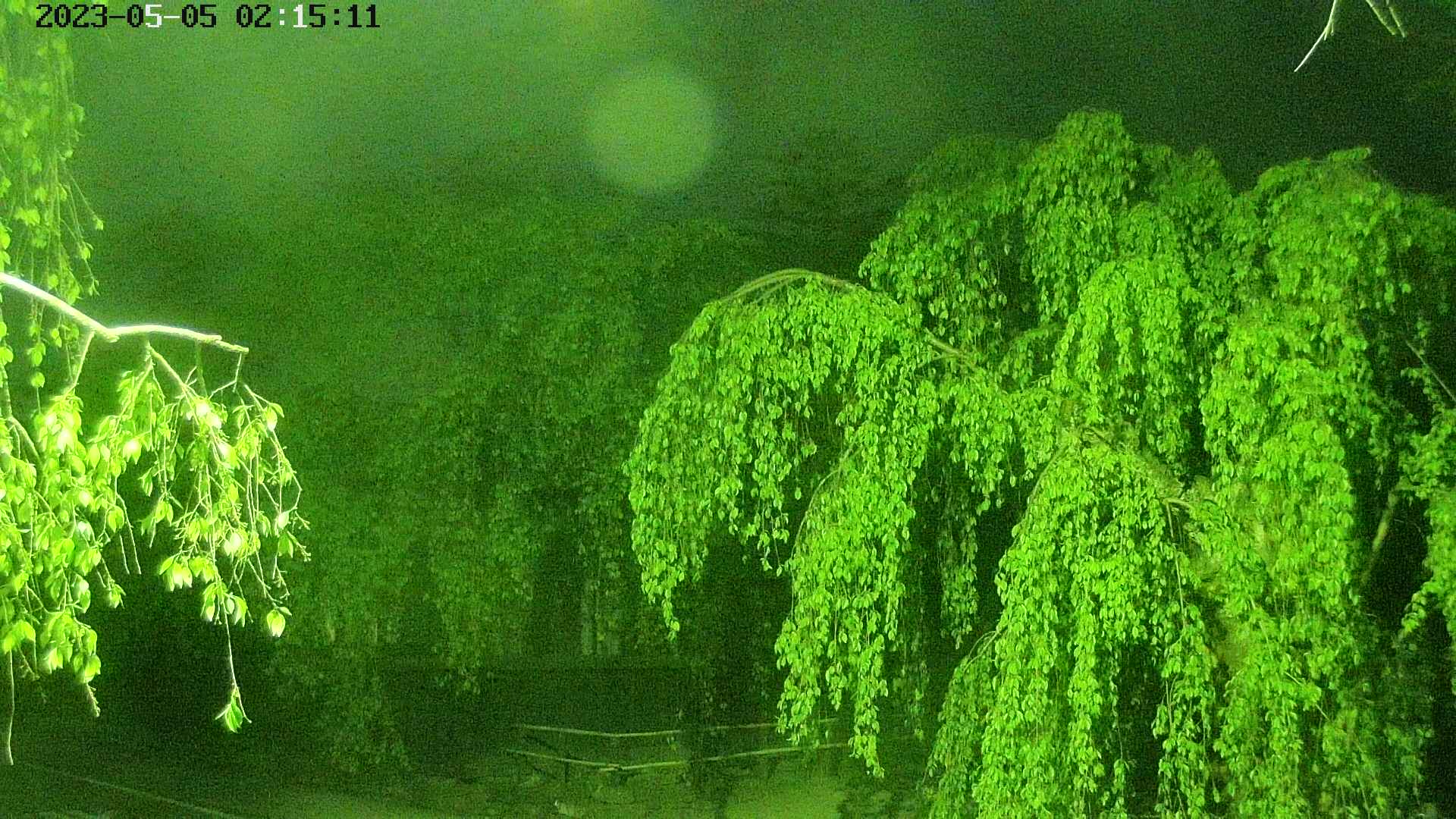 area1-20230505021513.jpg