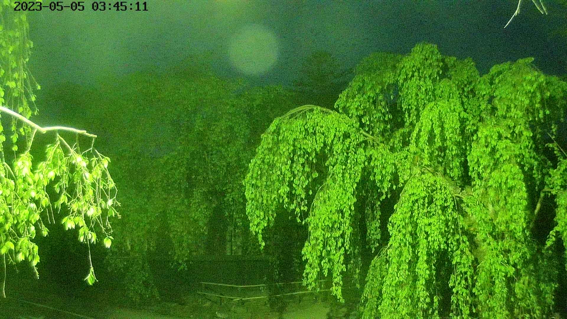 area1-20230505034513.jpg