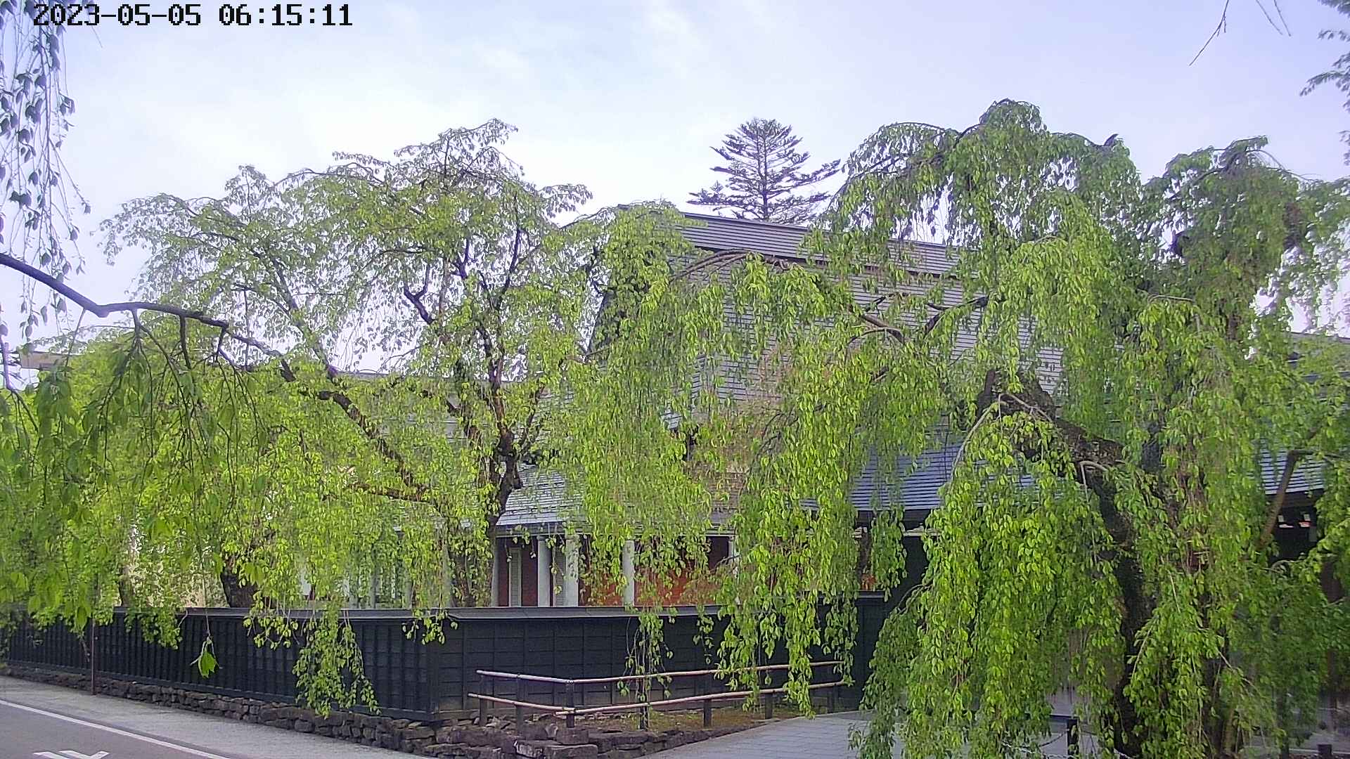area1-20230505061513.jpg