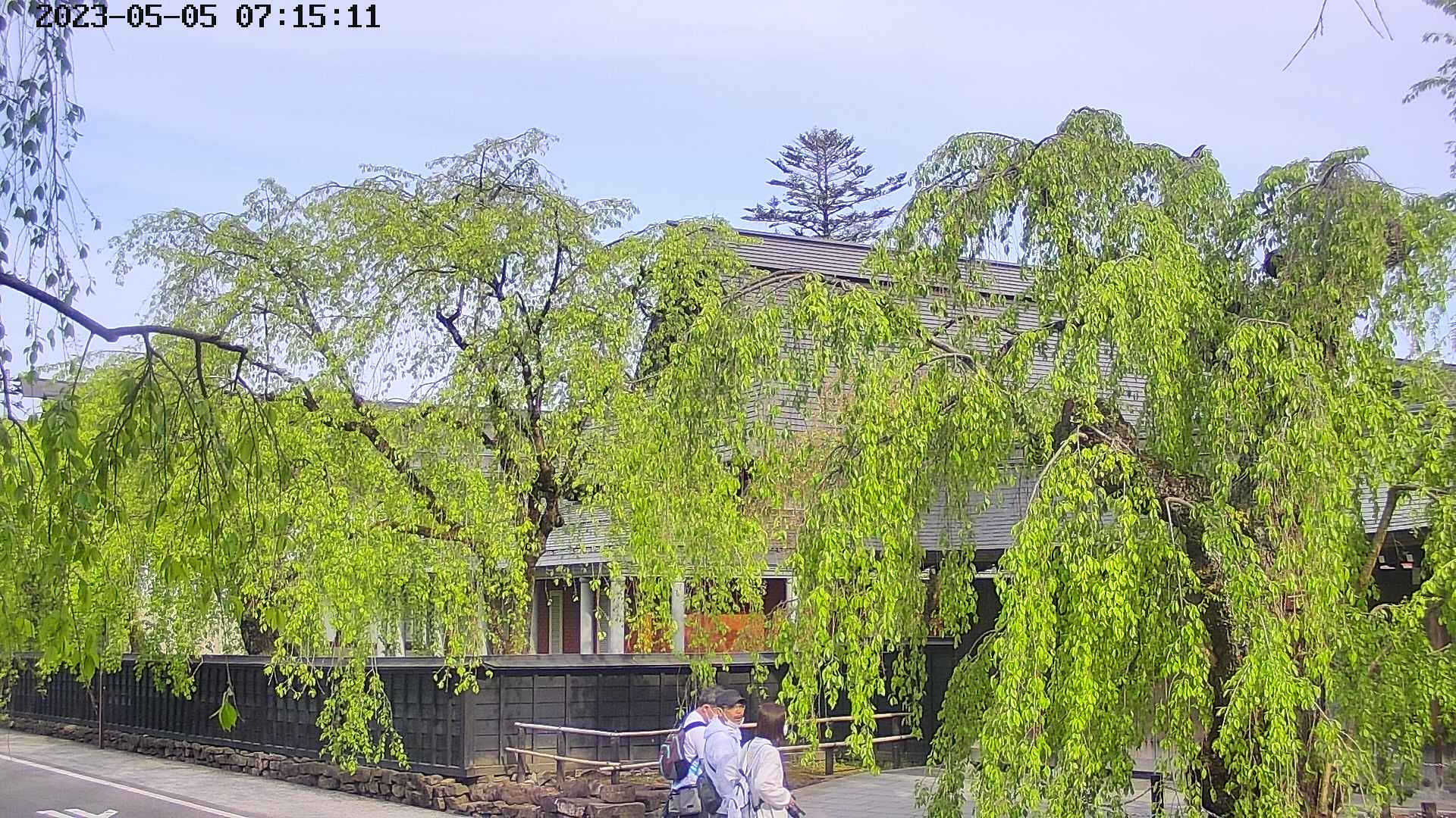 area1-20230505071513.jpg