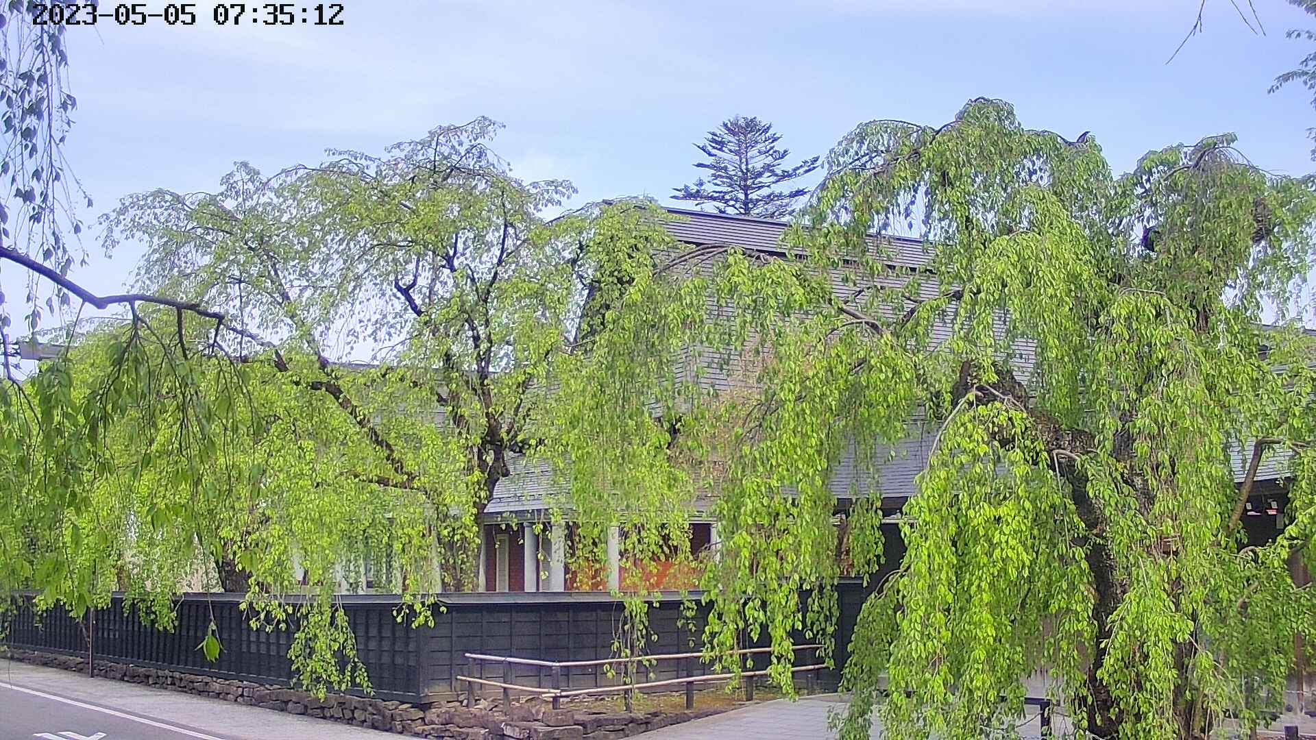 area1-20230505073514.jpg