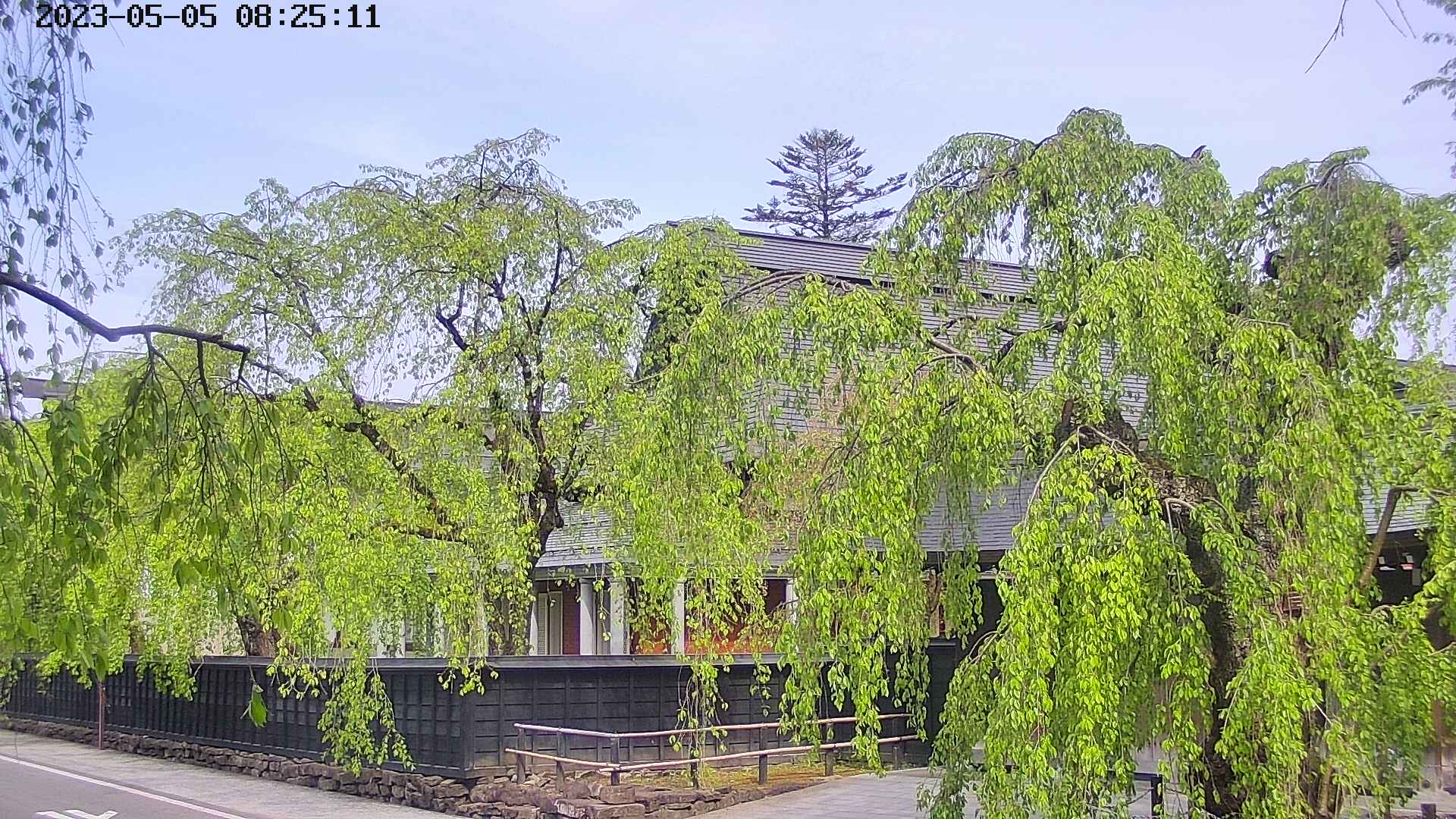 area1-20230505082513.jpg