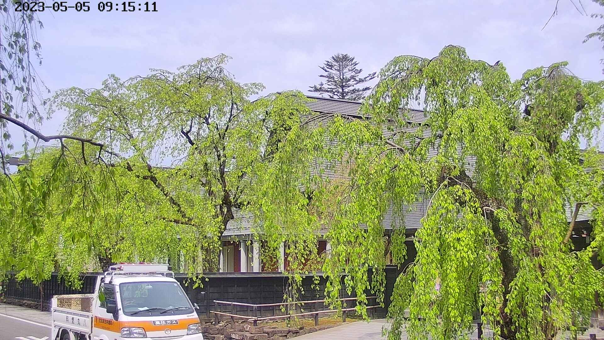 area1-20230505091514.jpg
