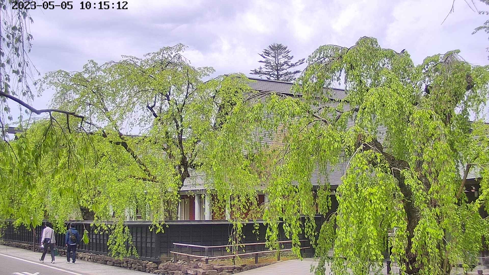 area1-20230505101514.jpg
