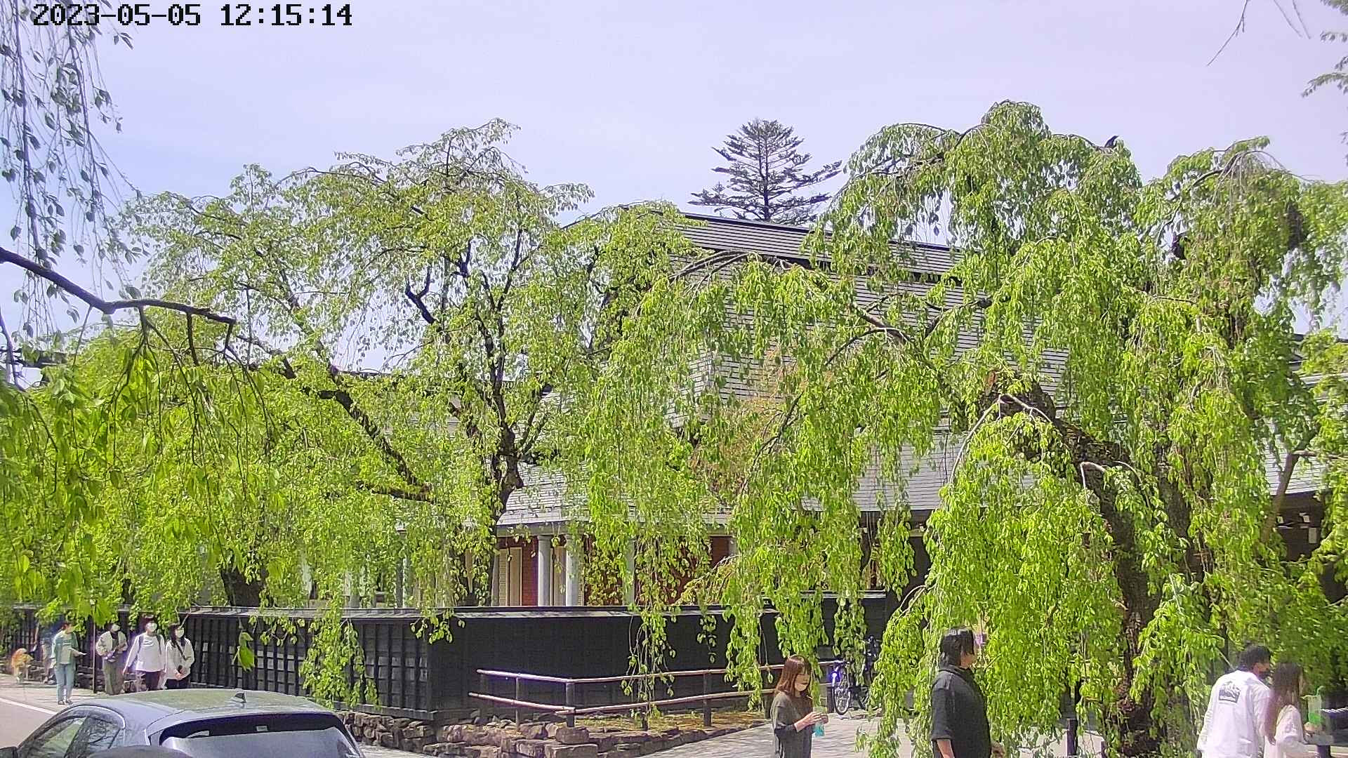 area1-20230505121514.jpg