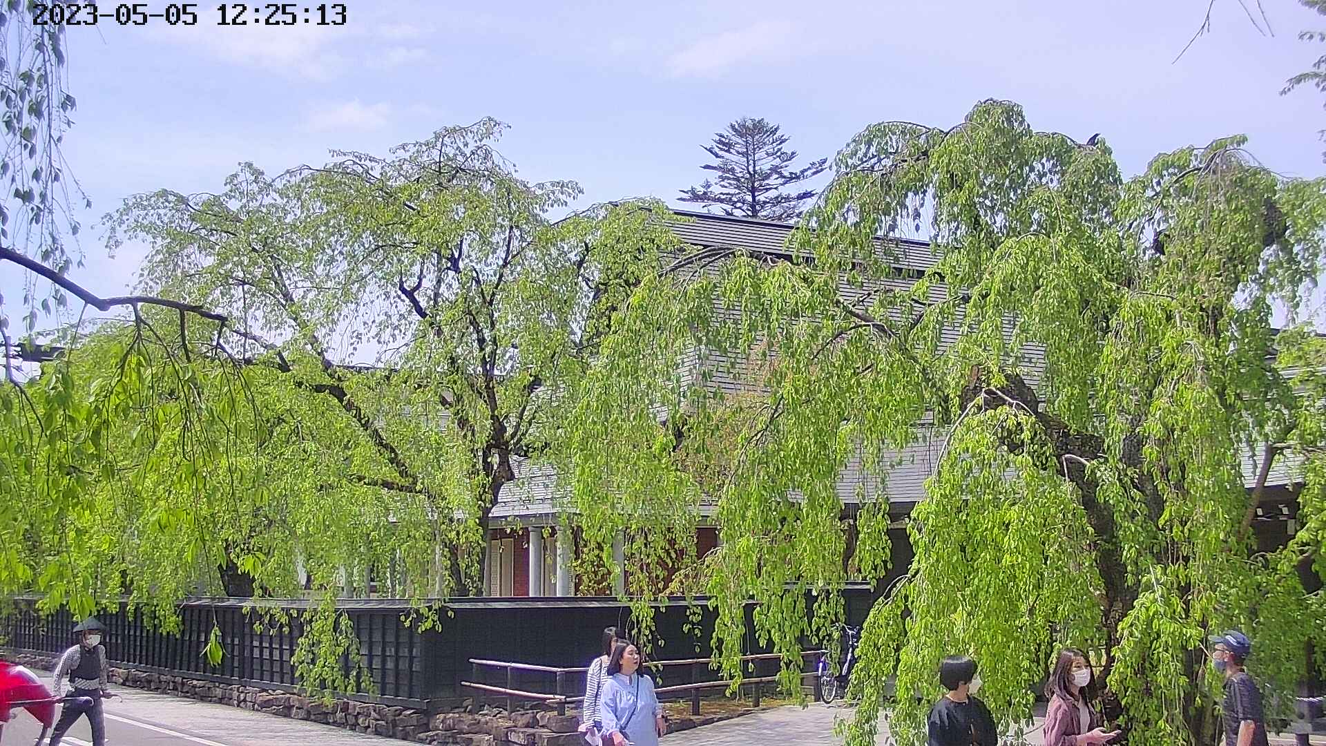 area1-20230505122514.jpg