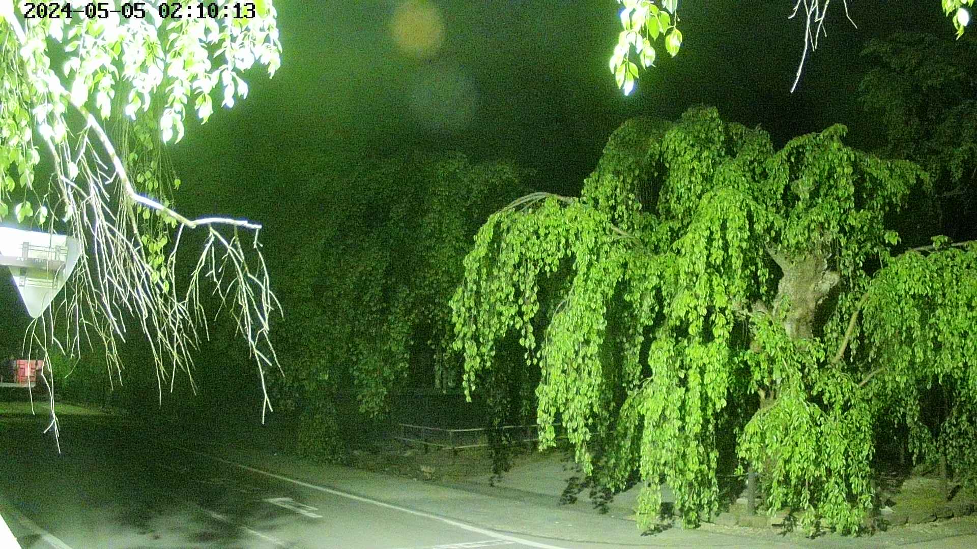 area1-20240505021014.jpg