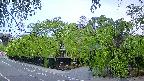 area1-20240505051015.jpg