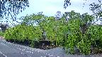 area1-20240505053015.jpg
