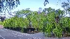 area1-20240505060015.jpg