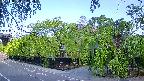 area1-20240505061015.jpg