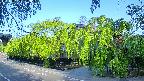 area1-20240505062015.jpg