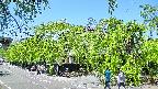 area1-20240505112015.jpg