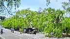 area1-20240505123015.jpg