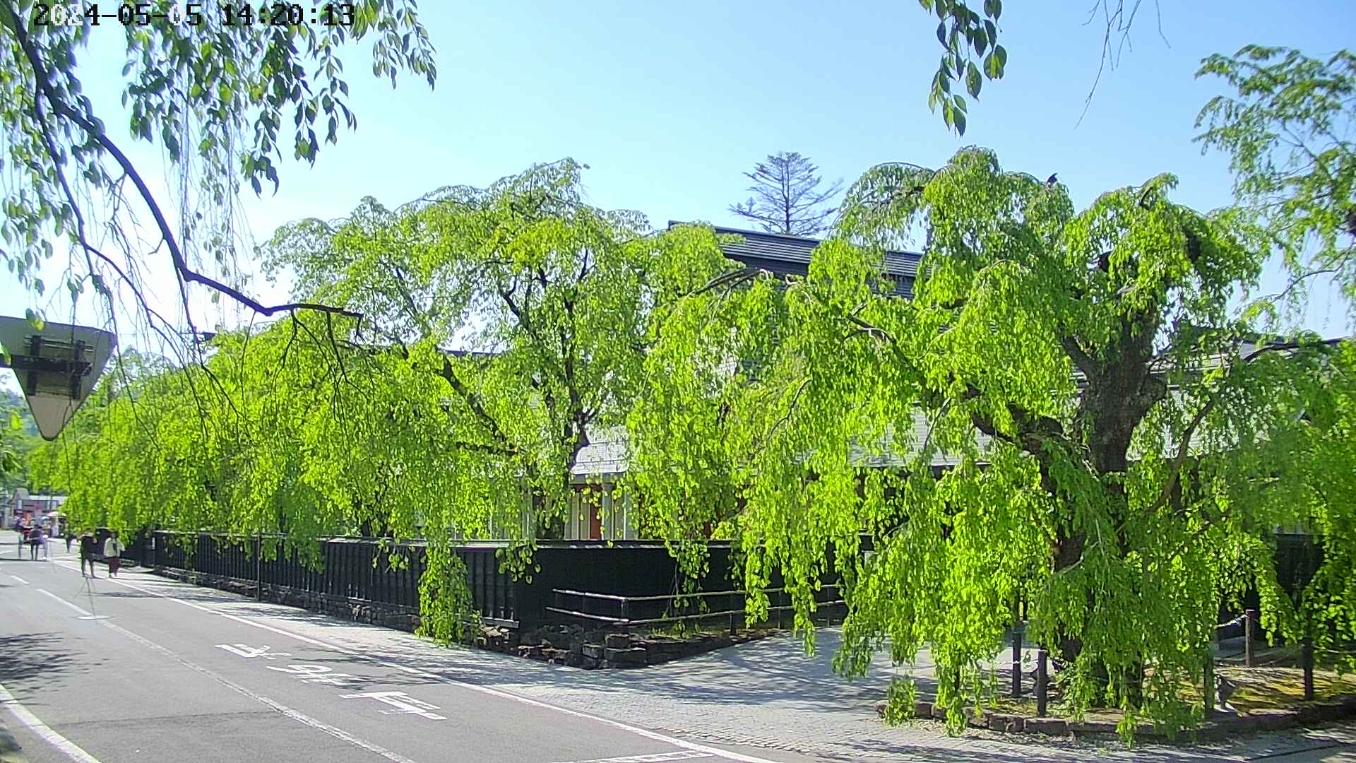 area1-20240505142014.jpg