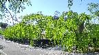 area1-20240505142014.jpg
