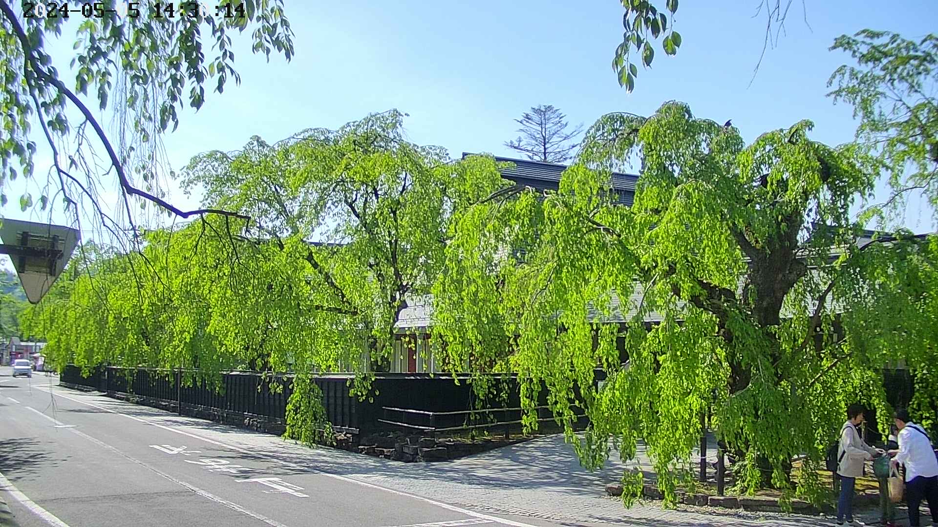 area1-20240505143015.jpg