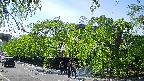 area1-20240505151014.jpg