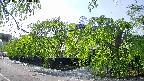 area1-20240505153015.jpg