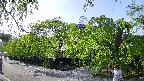 area1-20240505154015.jpg