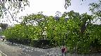 area1-20240505162015.jpg
