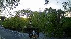 area1-20240505180015.jpg