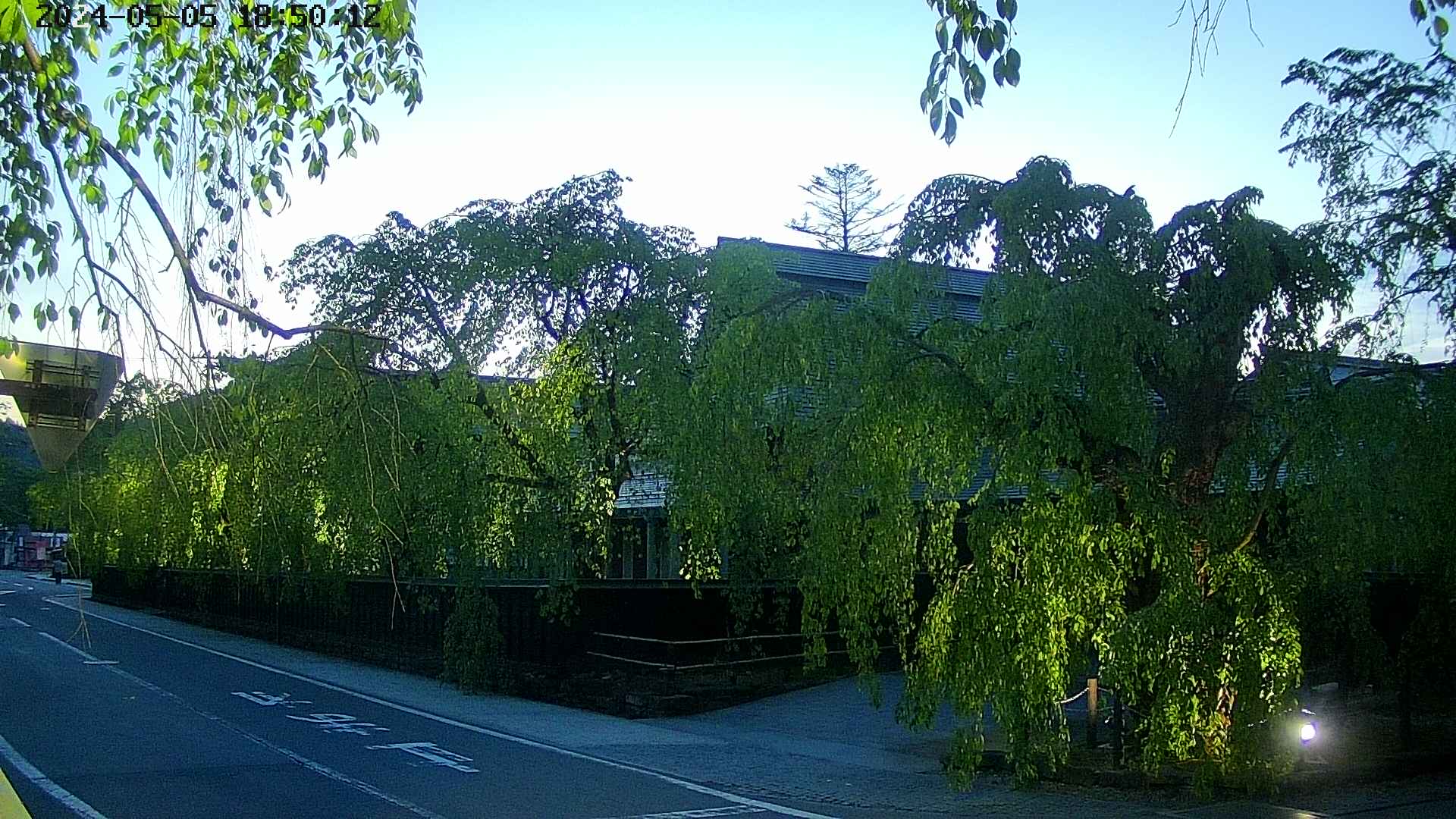 area1-20240505185014.jpg