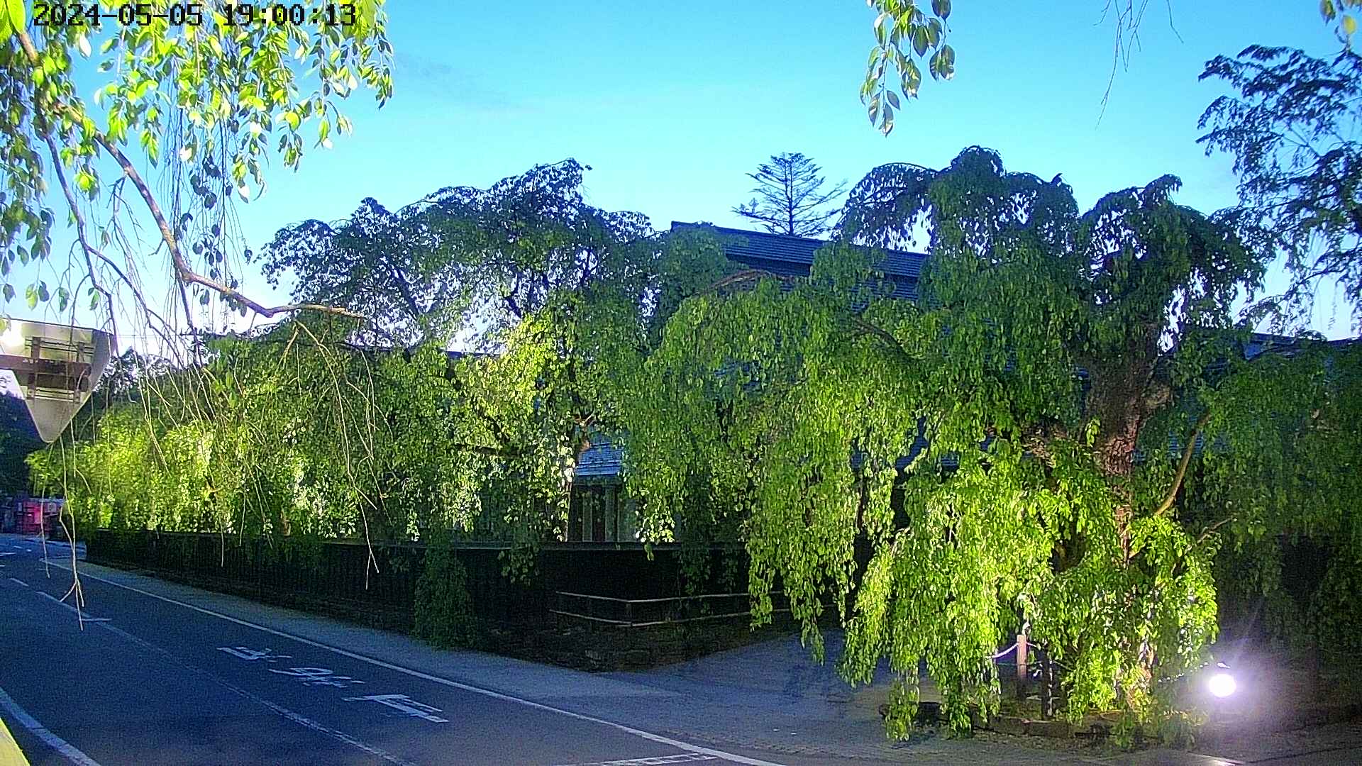area1-20240505190015.jpg