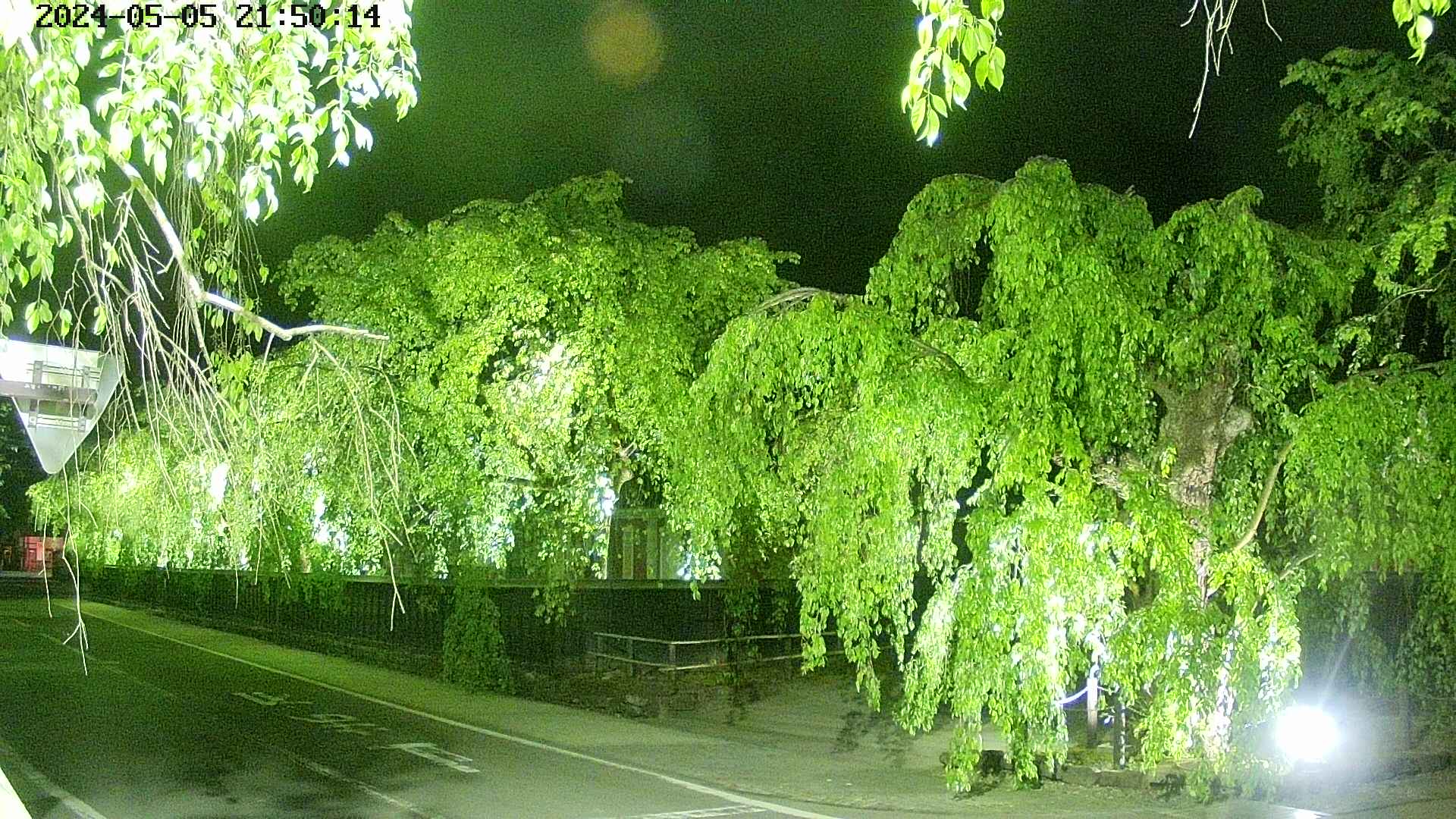 area1-20240505215015.jpg