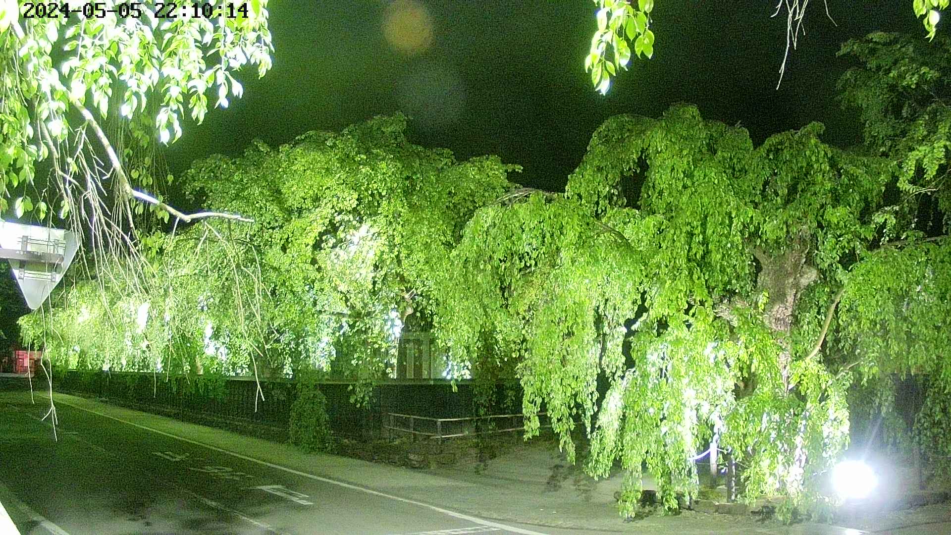 area1-20240505221015.jpg