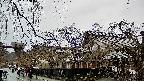 area1-20250402122014.jpg