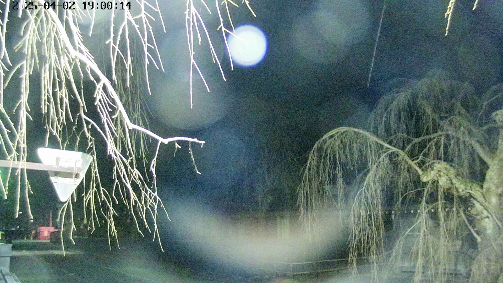 area1-20250402190016.jpg