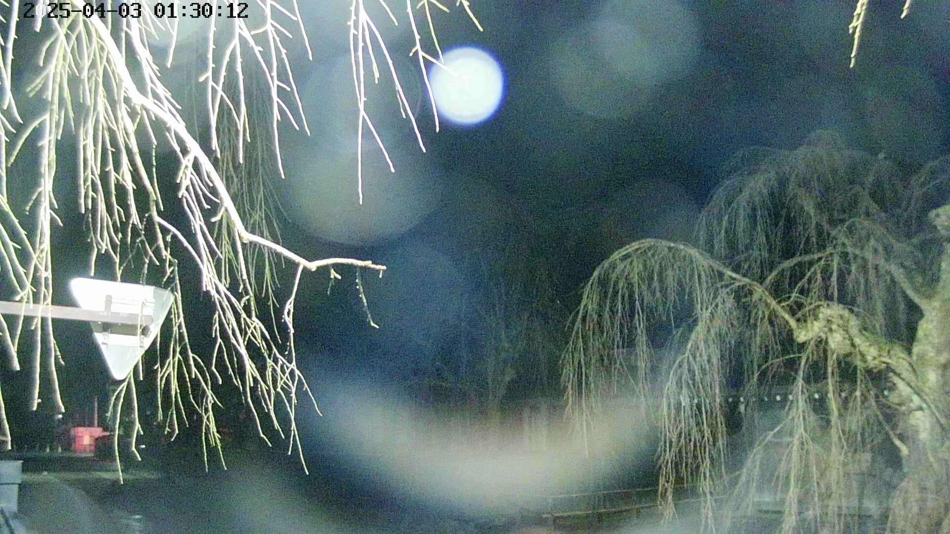 area1-20250403013015.jpg