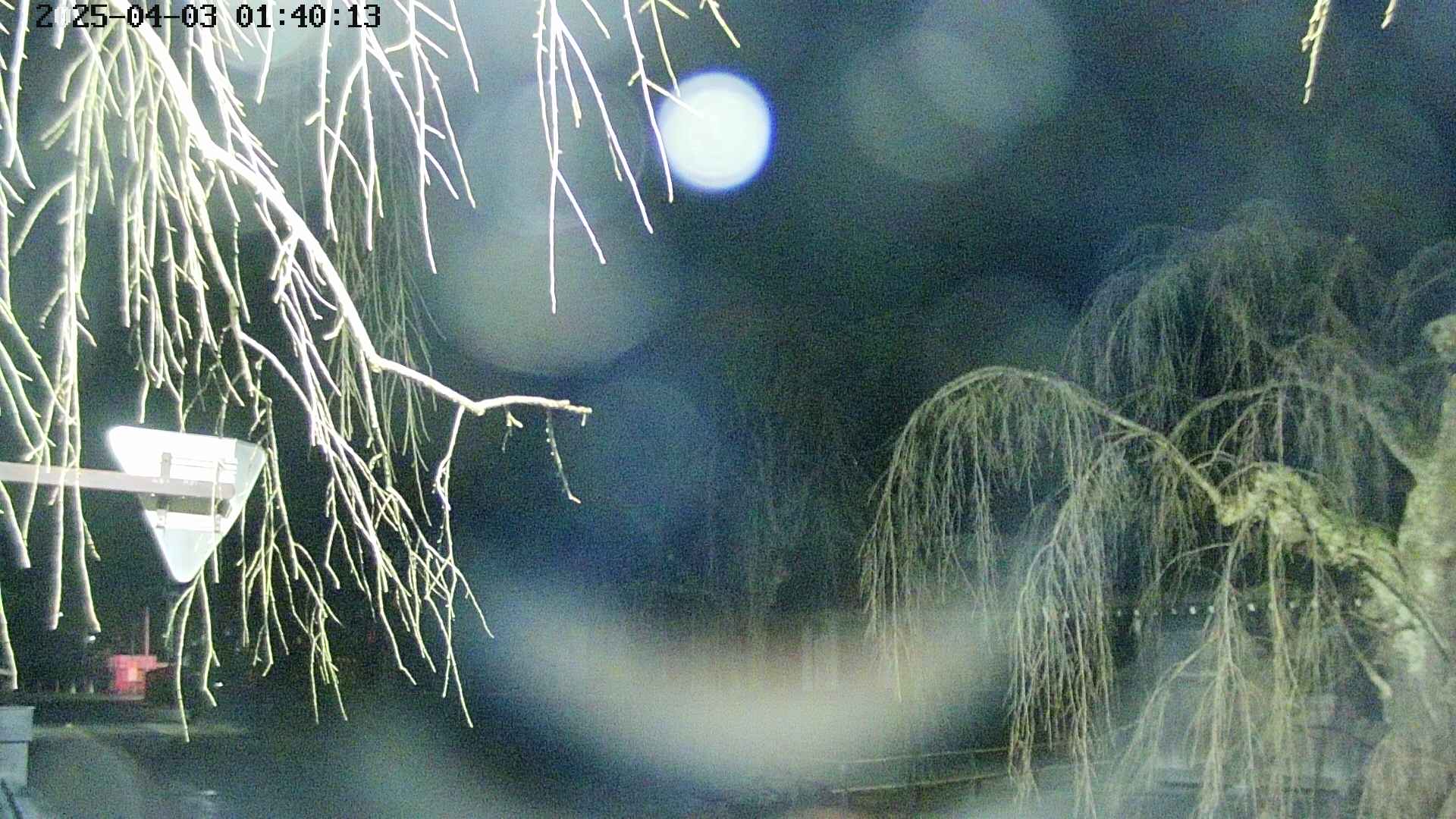 area1-20250403014016.jpg