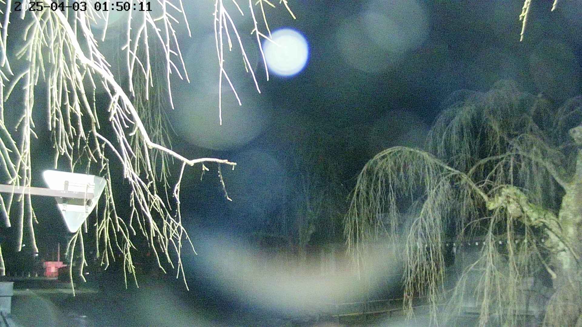 area1-20250403015014.jpg