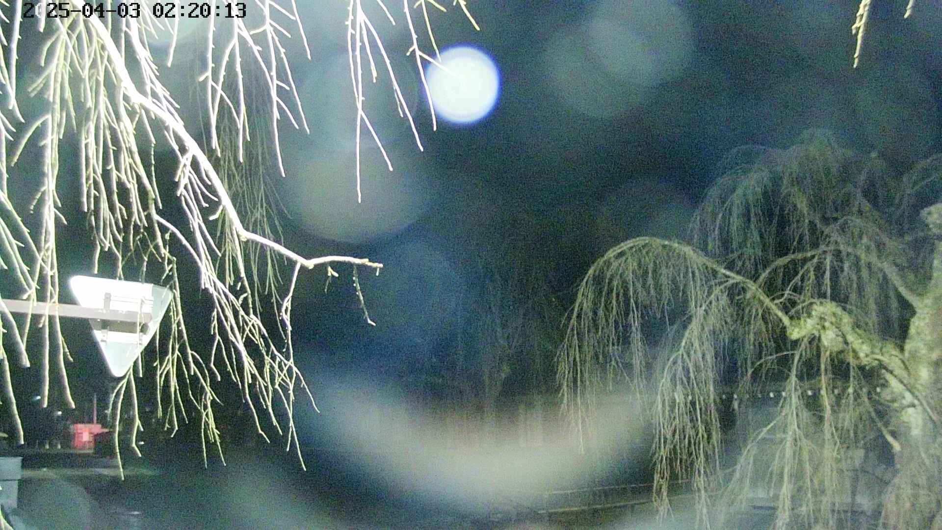 area1-20250403022016.jpg