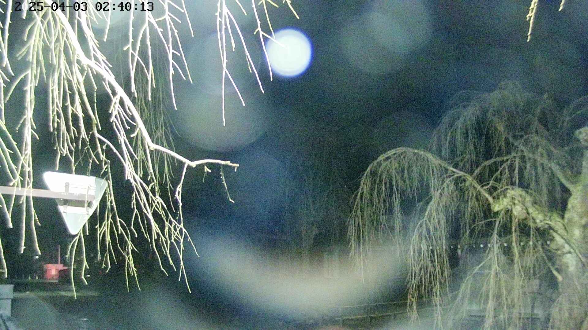 area1-20250403024016.jpg