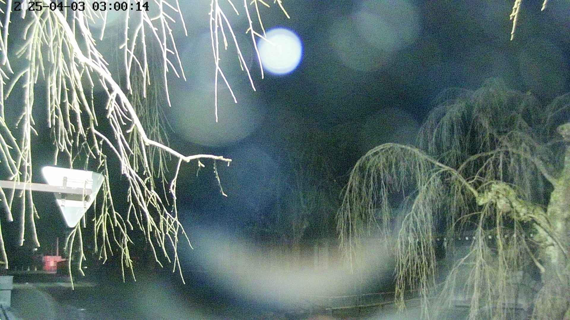 area1-20250403030017.jpg