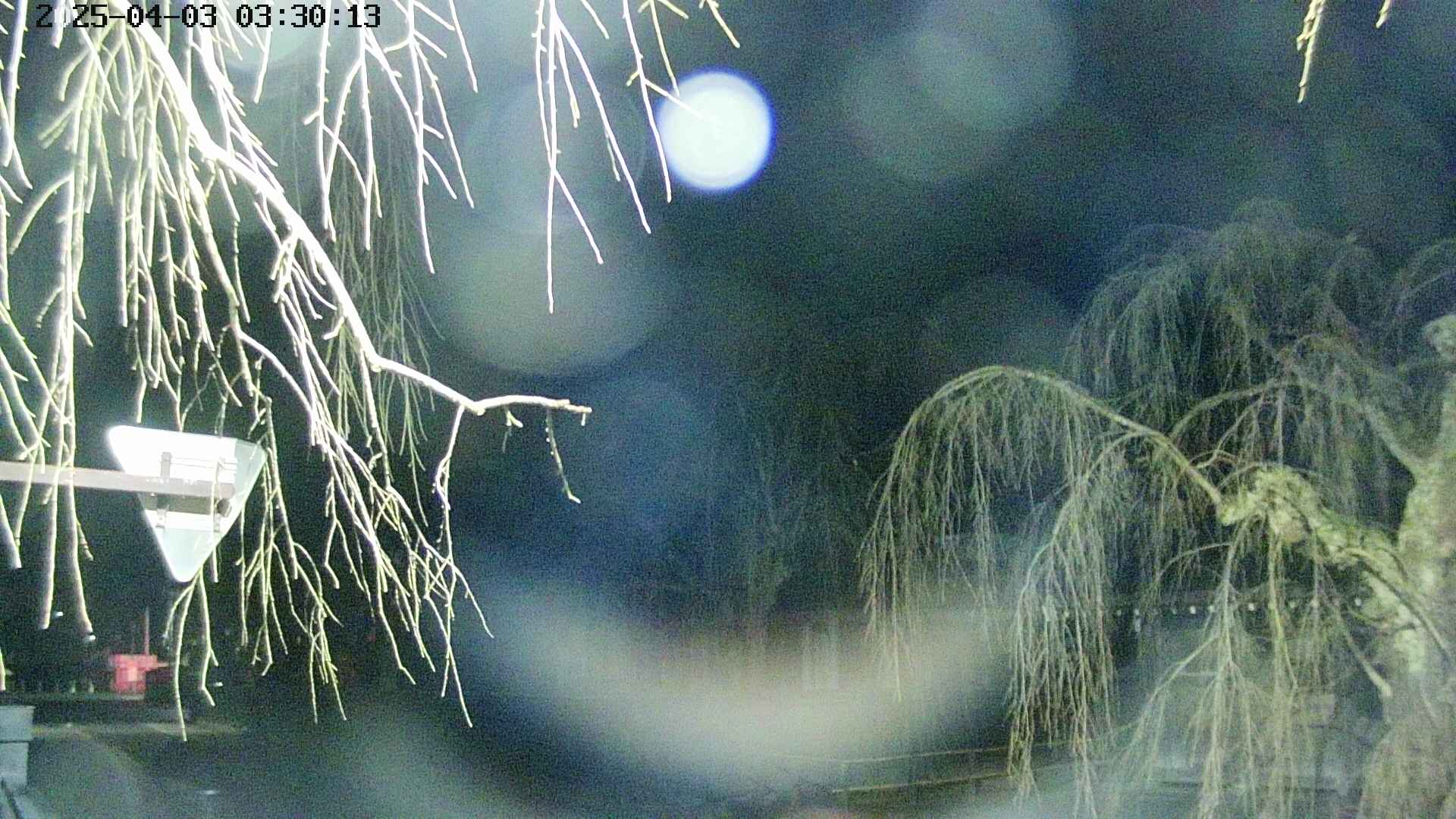 area1-20250403033017.jpg